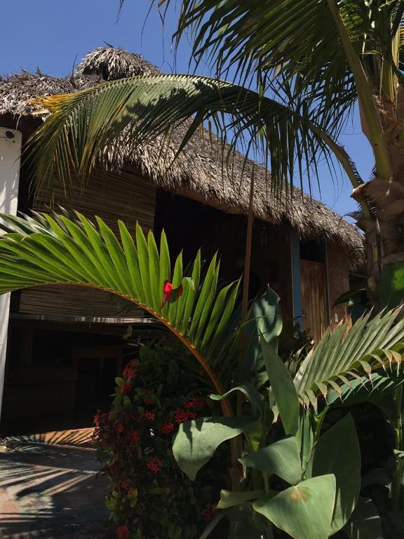 Condominio Agave Del Mar Coyuca de Benitez Eksteriør billede