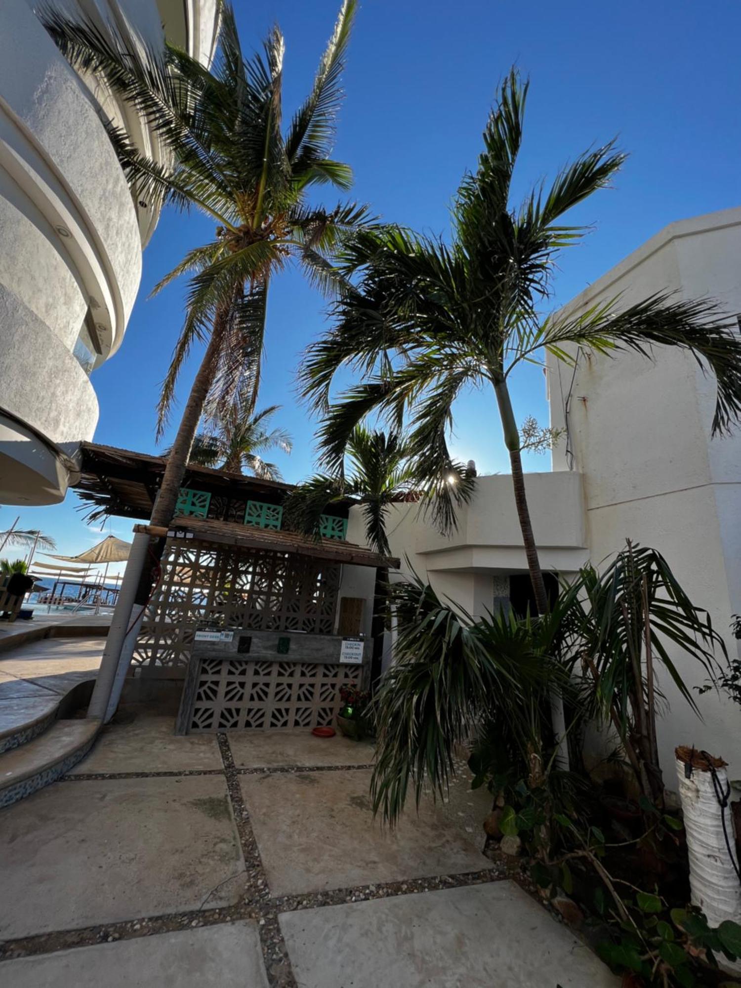 Condominio Agave Del Mar Coyuca de Benitez Eksteriør billede